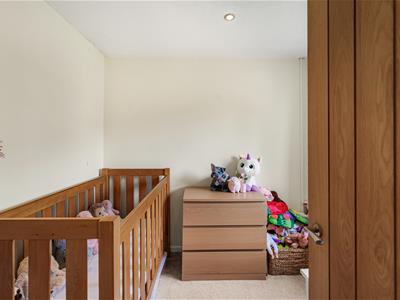 Picture 13